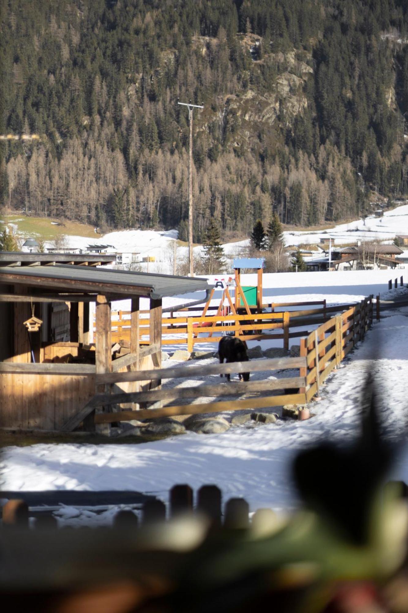 Ferienhaus Tirol Im Oetztal Umhausen Esterno foto